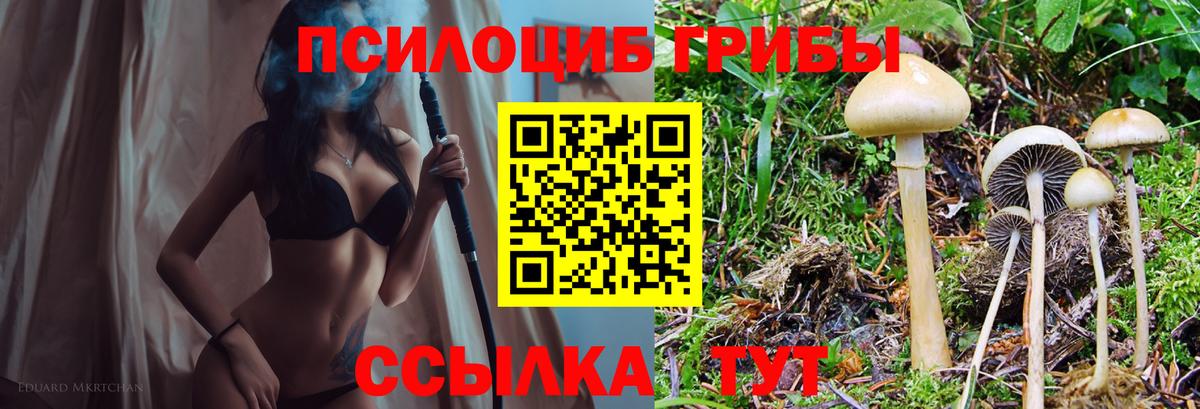 Елабуга  Псилоцибиновые грибы прущие грибы  Вход с VPN 